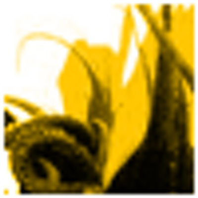 Profile Picture of Bradley Weir (@@yjgcolegaa) on Twitter