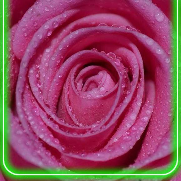 Profile Picture of Rosa Guzman (@rosaguzman190) on Poshmark