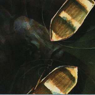 Profile Picture of Dan Stefanidis (@elbasunu) on Twitter