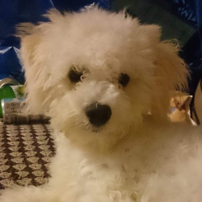 Profile Picture of Paul Burns-Clarke (@PaulBurnsClark1) on Twitter