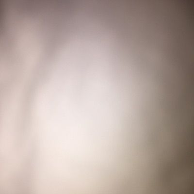 Profile Picture of Haley Ferriss (@haleyferriss) on Tiktok