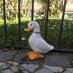 Profile Picture of Gretchen The Travelling Duck (@gretchenthetravelling) on Instagram