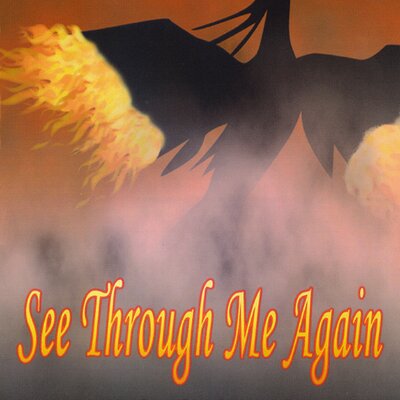 Profile Picture of Donna Hasselwander (@SeeThroughMeNow) on Twitter