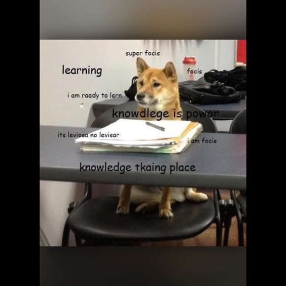 Profile Picture of Wilson Zhao (@nosliw) on Poshmark