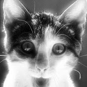 Profile Picture of Andrew Adamson (@tytnwilber) on Youtube