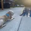 Profile Picture of johnnyhammock1 (@johnnyhammock1) on Tiktok