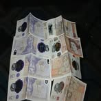 Profile Picture of Adam Haigh (@Adam-Haigh) on Facebook