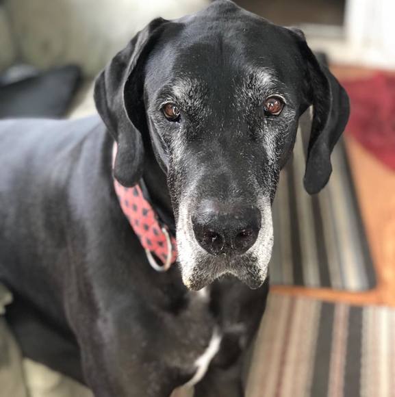 Profile Picture of Amy Rybczyk (@amyrybczyk) on Poshmark