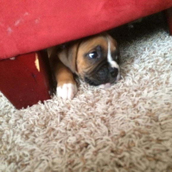 Profile Picture of Hanna Jenkins (@hannaj78) on Poshmark