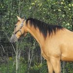 Profile Picture of Nickolas Colton Jenkins (@colton_jenkins_) on Instagram