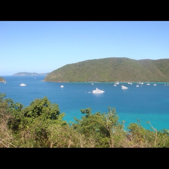 Profile Picture of Lisa Mcrorie (@lamcrorie) on Poshmark