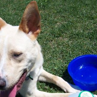 Profile Picture of Connor Lough (@connor.lough.54) on Facebook