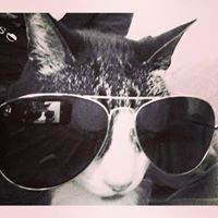 Alex Fulgham - Quora Profile Picture of Alex Fulgham (@alex-fulgham) on Quora