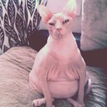 Brendan Outman - Instagram Profile Picture of Brendan Outman (@boutmayne) on Instagram