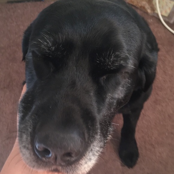 Profile Picture of Kaitlynn Donaca (@kaitlynn25) on Poshmark