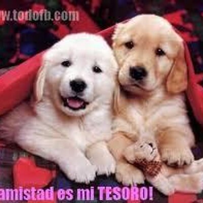 Profile Picture of Sandra Jaimes (@sandrajaimes222) on Twitter