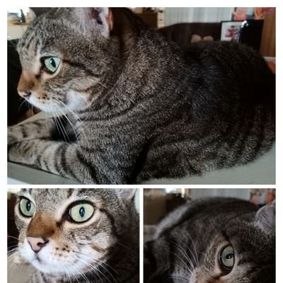 Profile Picture of MervynTan99 (@MervynTan99) on Twitter