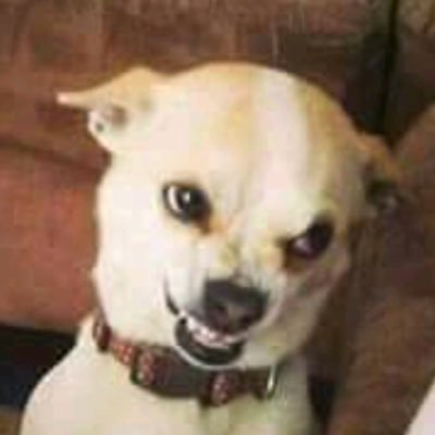 Profile Picture of James Spicer (@JamesSp67544072) on Twitter