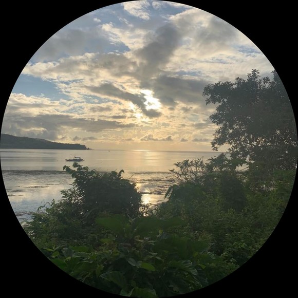 Profile Picture of Vincent Ward (@vindoc) on Poshmark