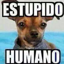 Profile Picture of Brau (@brau_james) on Twitter