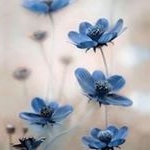 Profile Picture of Blanca Patricia Antonio Reyes (@blantonio19) on Instagram