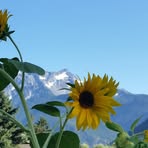 Profile Picture of Paula Steinheber (@paula.steinheber) on Facebook