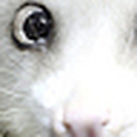 Profile Picture of Jane James (@jane.j) on Flickr