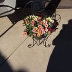 Sandi Hancock - Facebook Profile Picture of Sandi Hancock (@sandi.hancock.98) on Facebook