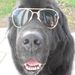 Profile Picture of Christian Strecker (@christians3200) on Pinterest