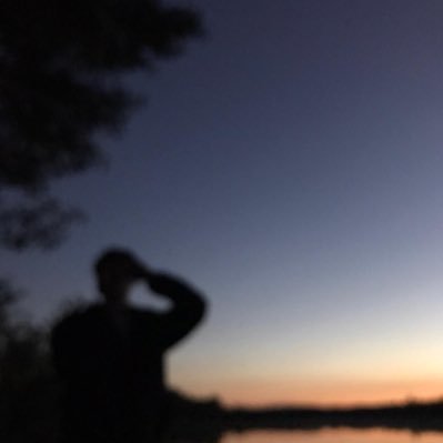 Profile Picture of René Kopp (@reneefabien) on Twitter