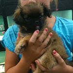 Profile Picture of cassidy_potter (@cassidy_potter) on Instagram