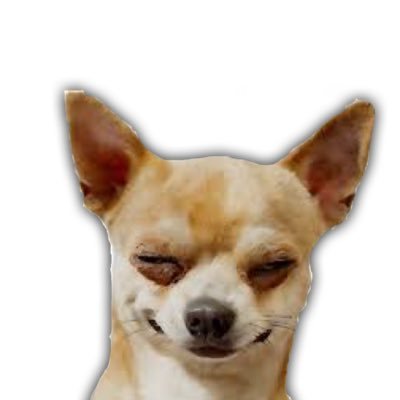 Profile Picture of Nicholas Levy (@NicholasLevy15) on Twitter