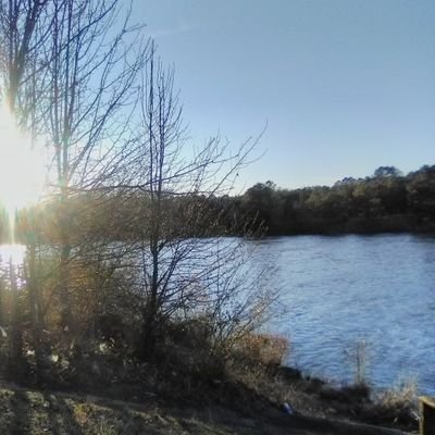 Profile Picture of Stephen Brasfield (@StephenBrasfie4) on Twitter