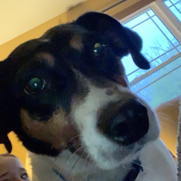 Gabrielle🤍 Feterick - Poshmark Profile Picture of Gabrielle🤍 Feterick (@g_feterick) on Poshmark