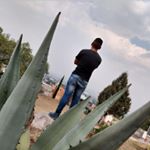 Profile Picture of Jose Michaca (@michaca_jose) on Instagram