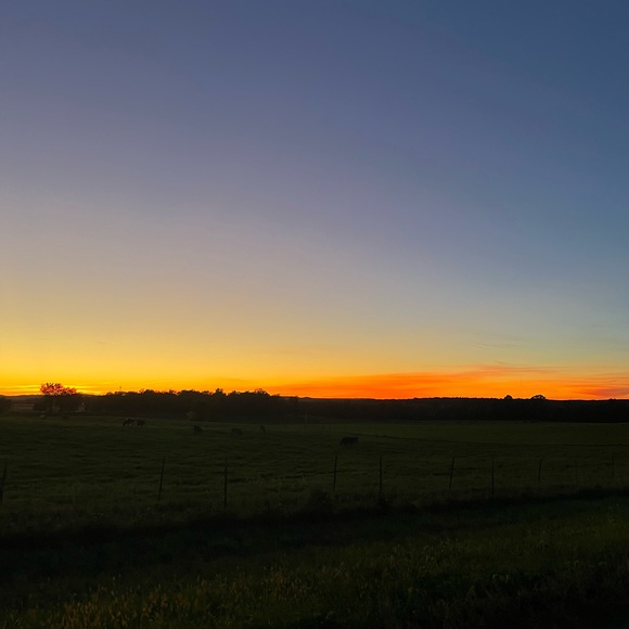 Profile Picture of Kenna Marsolek (@kenna545) on Poshmark