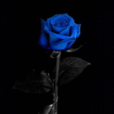 Profile Picture of Mellow (@Andrew32267018) on Twitter