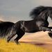 Profile Picture of Marcy Igersheim (@calaburn) on Pinterest
