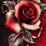 Profile Picture of Itzayana Ferrer De Rojaz (@jessica.gallegos.1694059) on Facebook