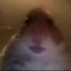 Profile Picture of Julie Lull (@@julielull4) on Tiktok