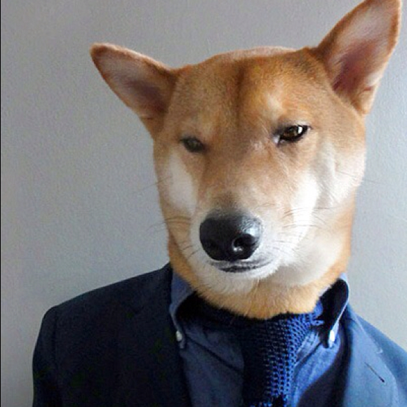 Profile Picture of Hailey Eom (@haileyeee) on Poshmark