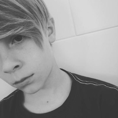 Profile Picture of Robert Schildt (@RobertDanierr) on Twitter