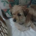 Profile Picture of Maureen Galea (@maureengalea) on Instagram