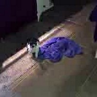 Profile Picture of Amanda Plowman (@amanda-plowman-1) on Quora