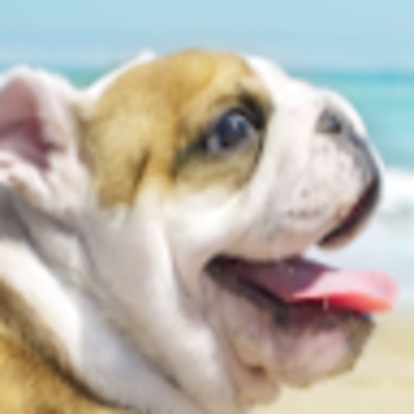 Profile Picture of Ariela Rosado (@rosadokingdom) on Poshmark