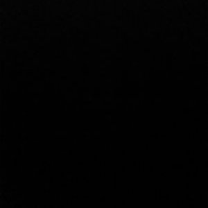 Profile Picture of Roger Adam Perales (@rogerperales52) on Twitter