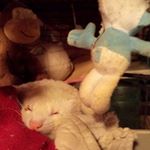 Profile Picture of Patrick Larue (@patrick.larue.967) on Instagram