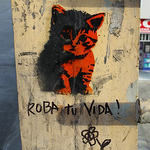 Profile Picture of Gato Negro (@daniel ausente) on Flickr