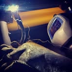 Profile Picture of Christopher Bajek (@christopher.bajek.7) on Facebook