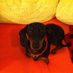 Profile Picture of Claudia Bertini (@cahuela) on Instagram